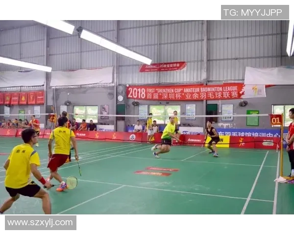 深圳羽毛球队在杯赛中的比赛经验与表现分析